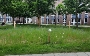BlühflächeAmtsbrink©StadtWarenMüritz BlühflächeAmtsbrink©StadtWarenMüritz