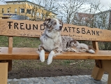 Freundschaftsbank-Kaethe©StadtWarenMueritz