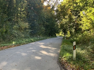 Seeblänken-VW-StadtWaren