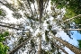 Wald©BäderverbandMV_Foto-HolgerMartens Wald©BäderverbandMV_Foto-HolgerMartens